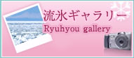 流氷ギャラリー