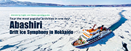 Abashiri Drift Ice Symphony in Hokkaido